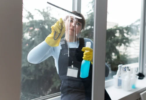 Nettoyage de vitres intérieures et extérieures à Bouleternère